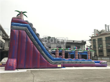 Mor Yetişkin Çocuk Havuzu, Kayma n Slide ile Şişme Su Kaydırakları